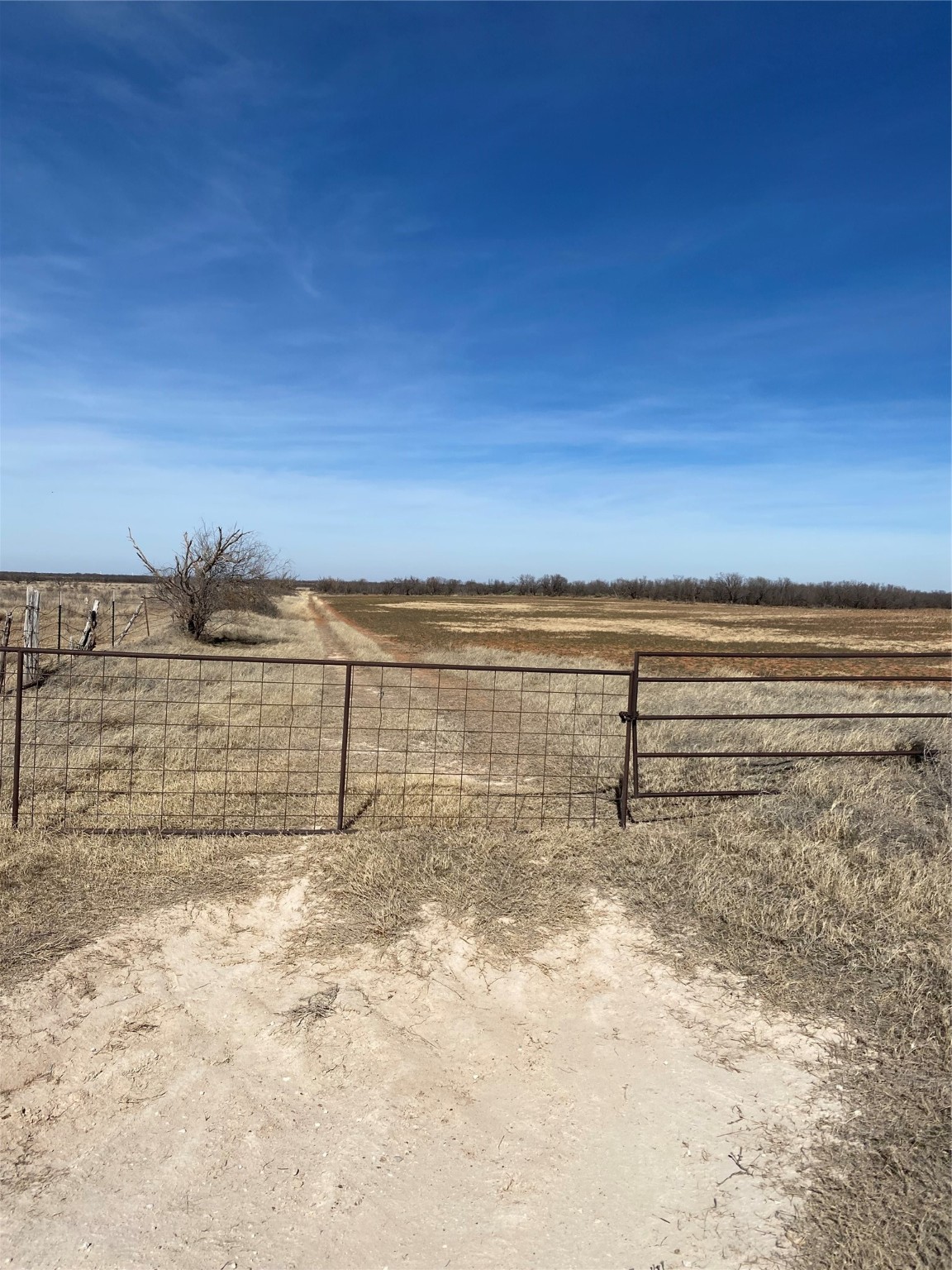Tbd 182 Hamlin TX 79520