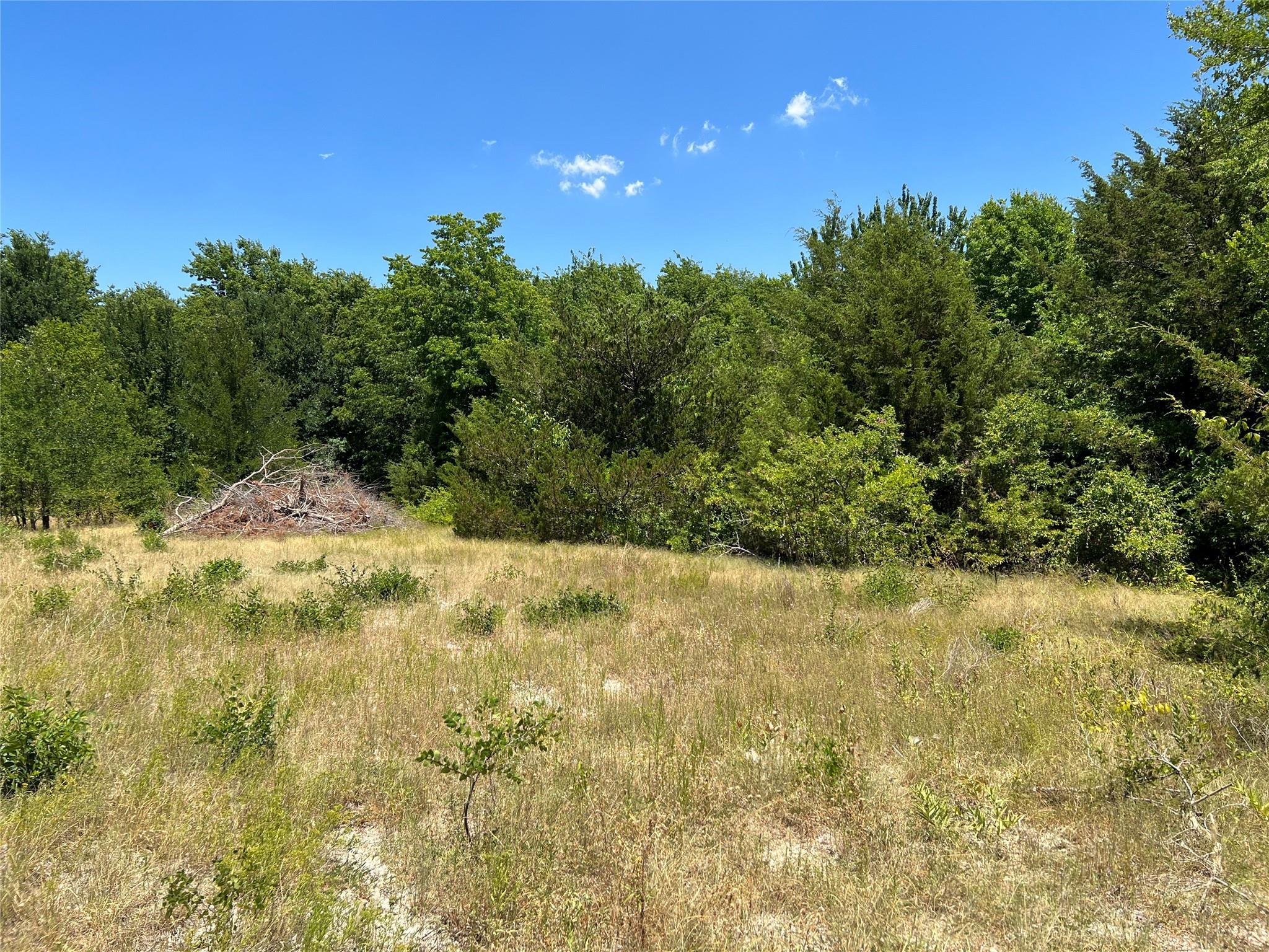 00 Bethel Cannon & Pilot Grove Road Whitewright TX 75491