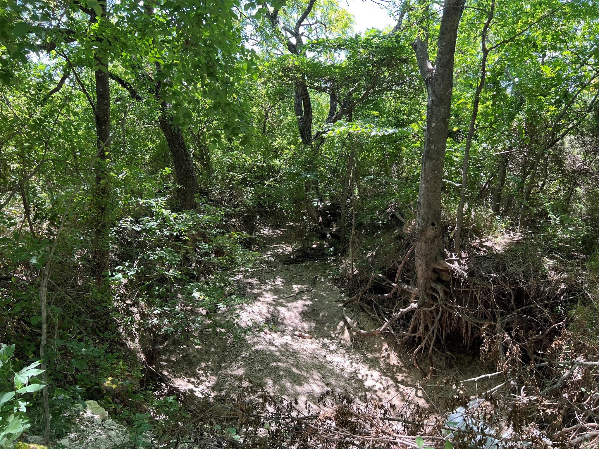 00 Bethel Cannon & Pilot Grove Road Whitewright TX 75491