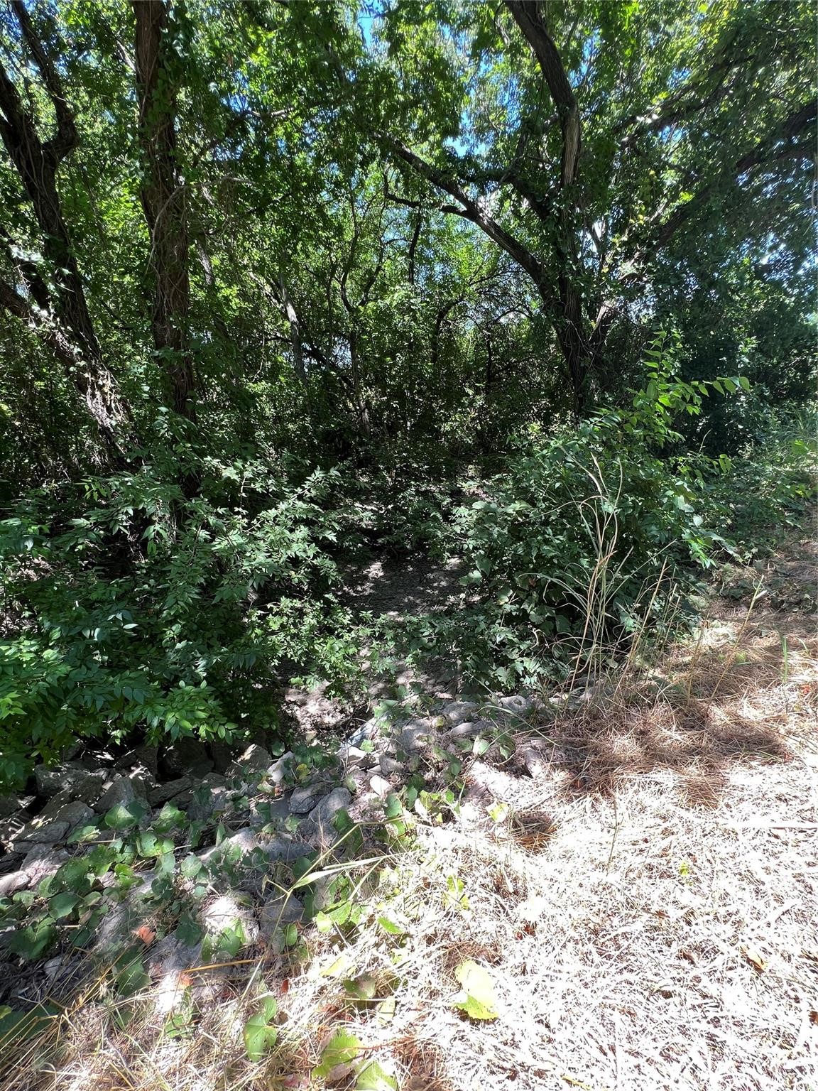 00 Bethel Cannon & Pilot Grove Road Whitewright TX 75491