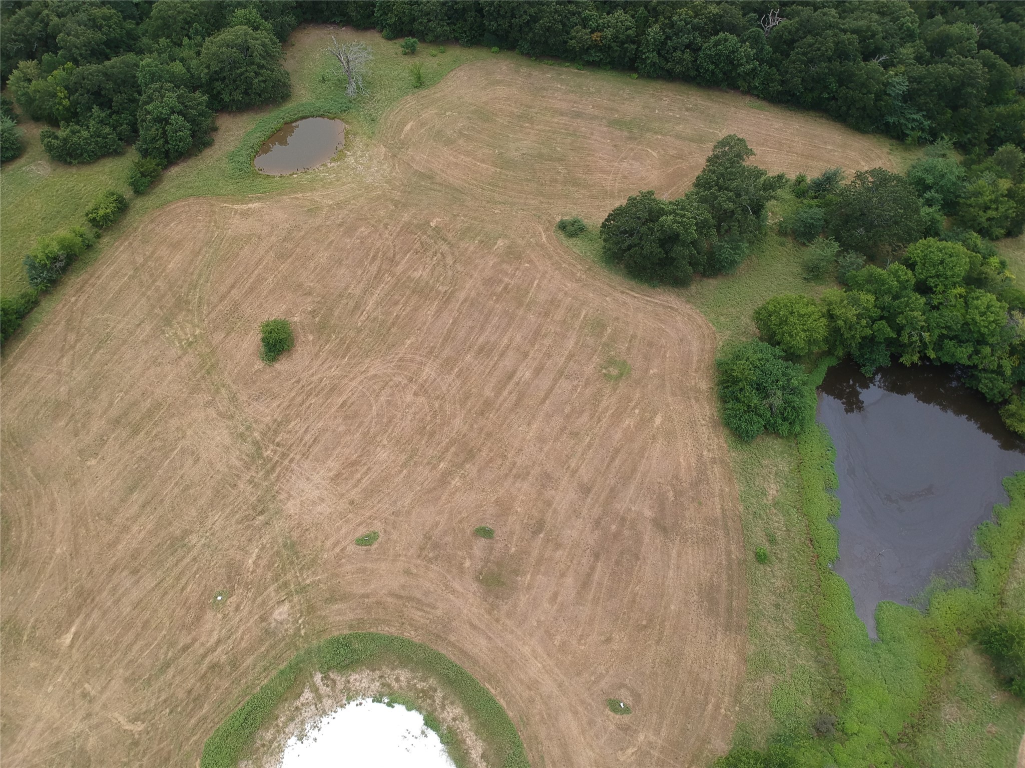 Tbd County Road 3515 Dike TX 75437