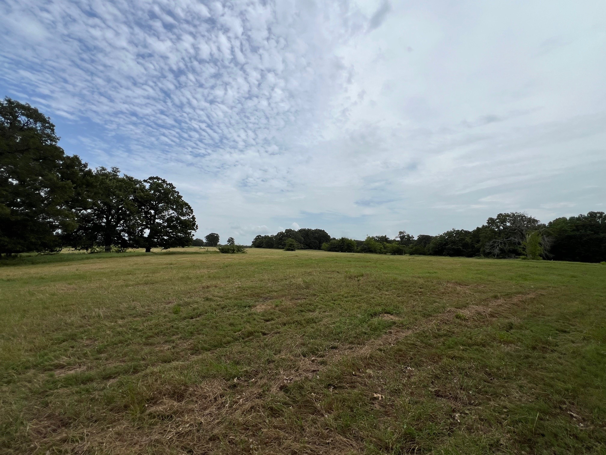 Tbd County Road 3515 Dike TX 75437