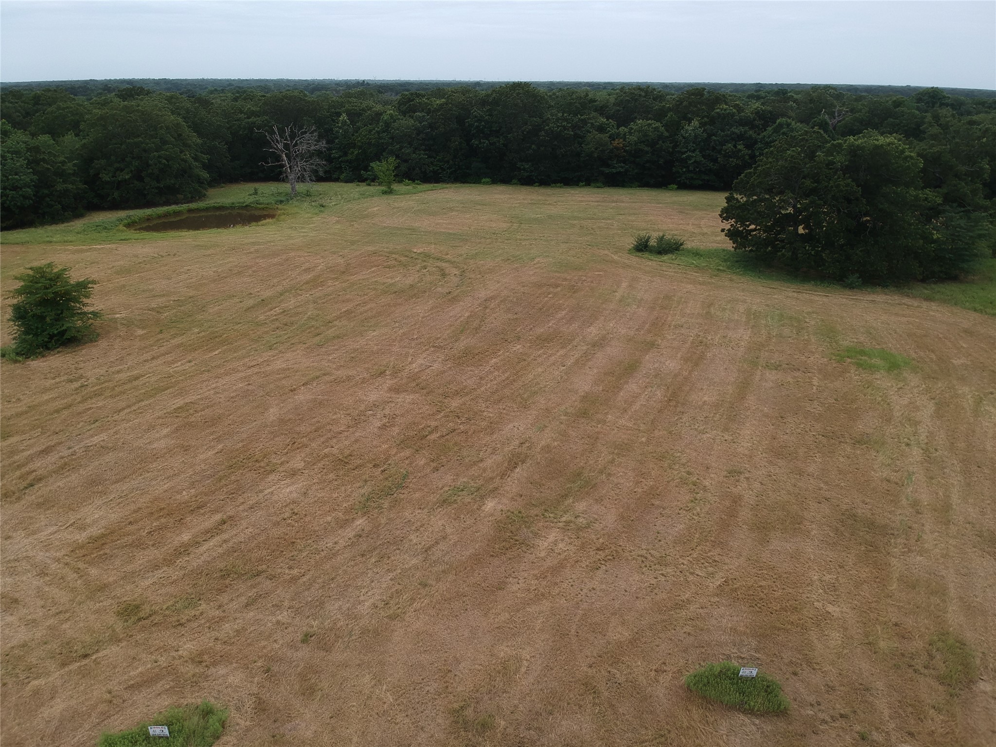 Tbd County Road 3515 Dike TX 75437