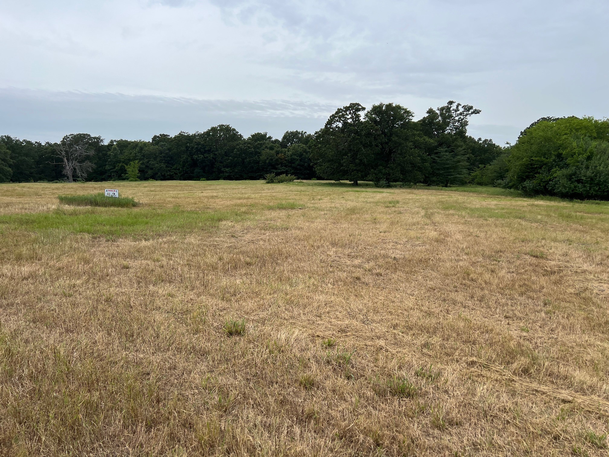 Tbd County Road 3515 Dike TX 75437