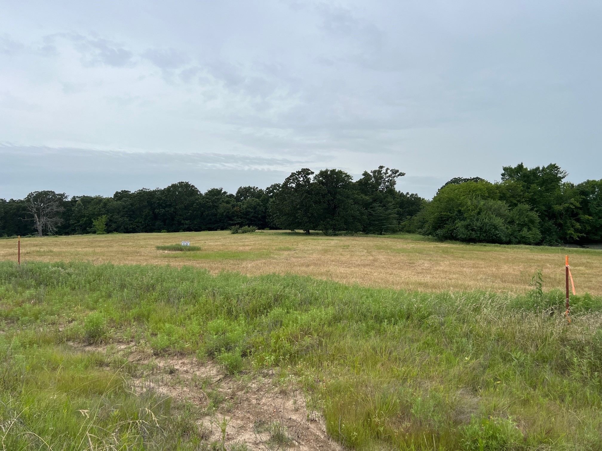 Tbd County Road 3515 Dike TX 75437