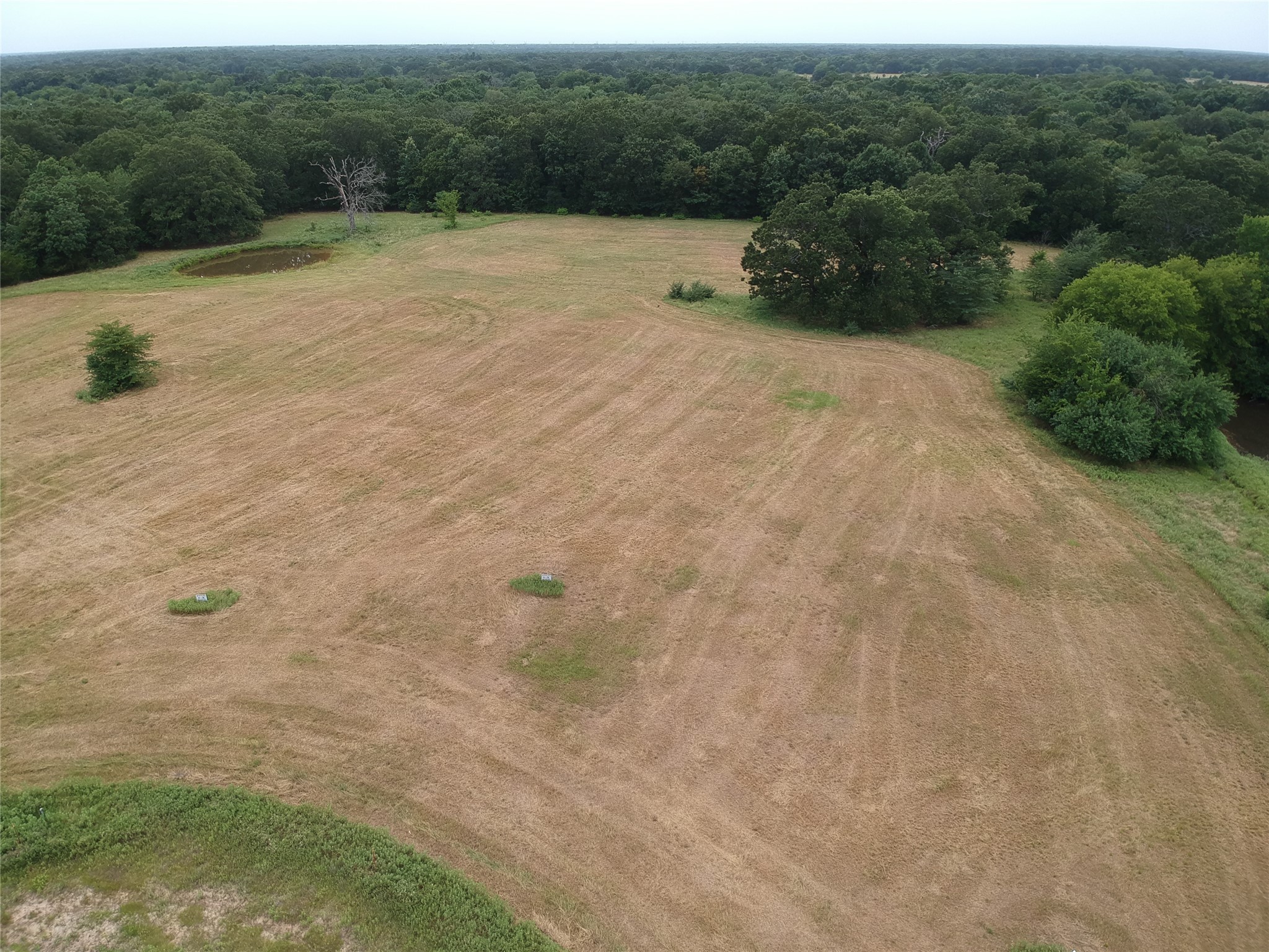 Tbd County Road 3515 Dike TX 75437