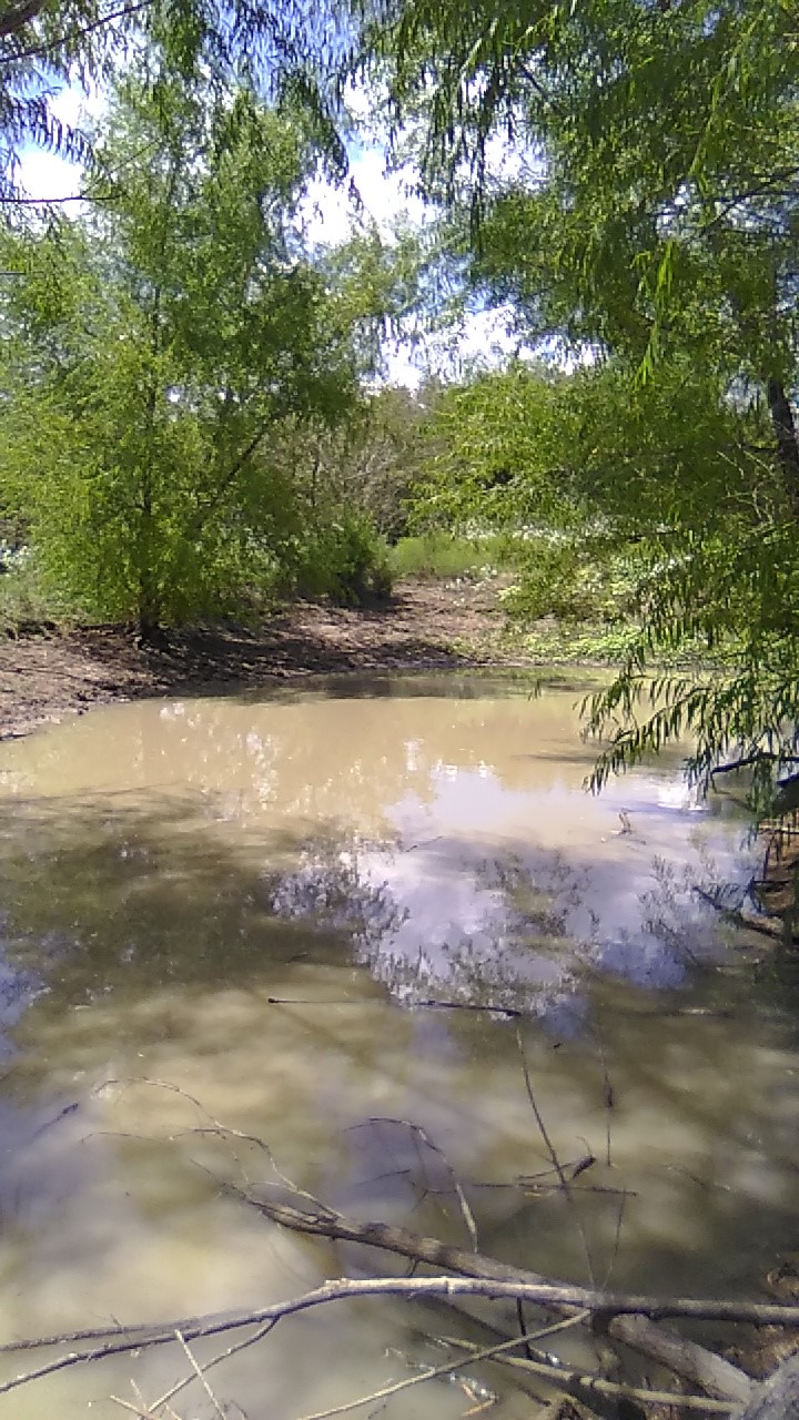 155 Private Road 5462 Mexia TX 76667