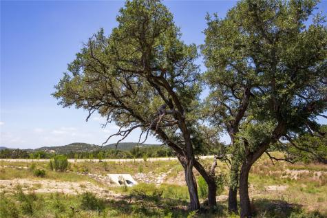 Lot 168 E Starview Cove Blanco TX 78606