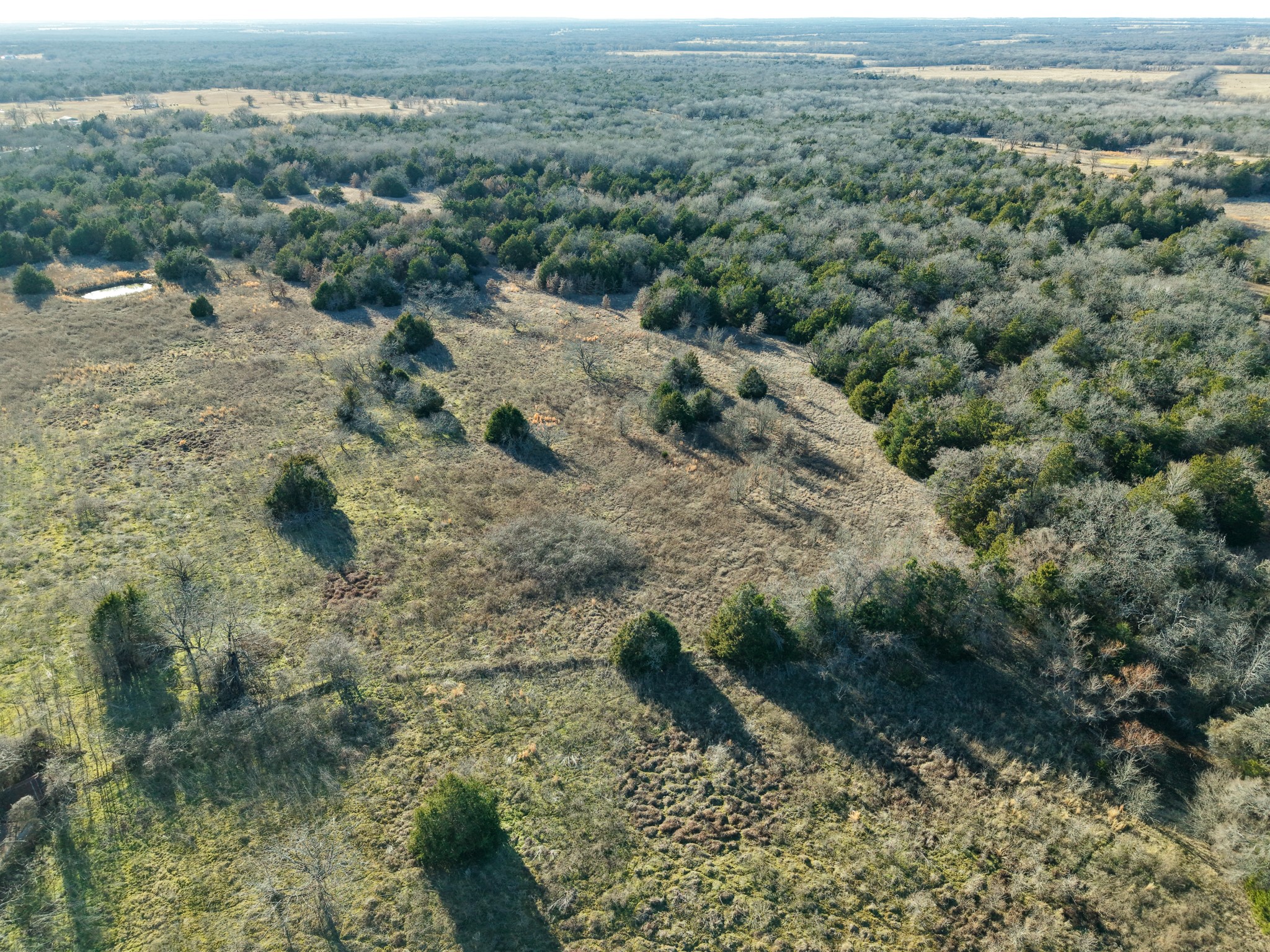 Tbd Fm 1366 Wortham TX 76693