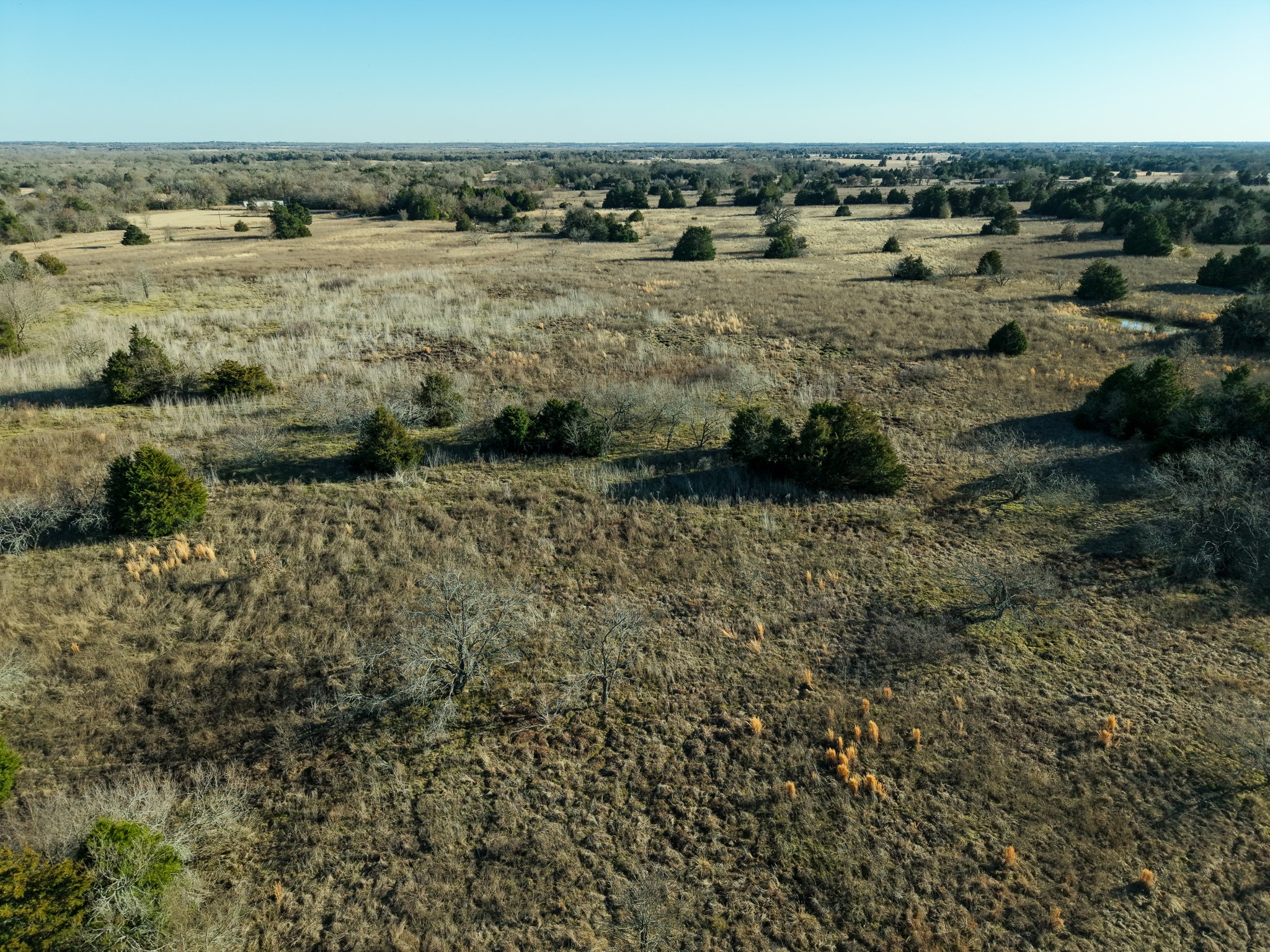 Tbd Fm 1366 Wortham TX 76693