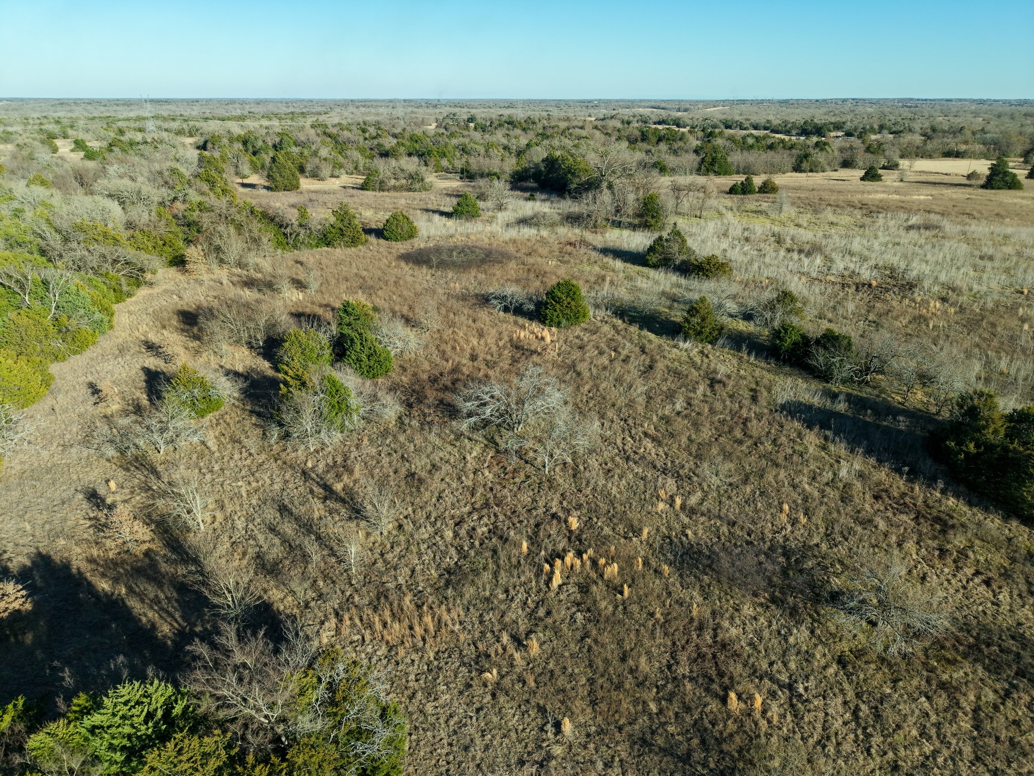 Tbd Fm 1366 Wortham TX 76693
