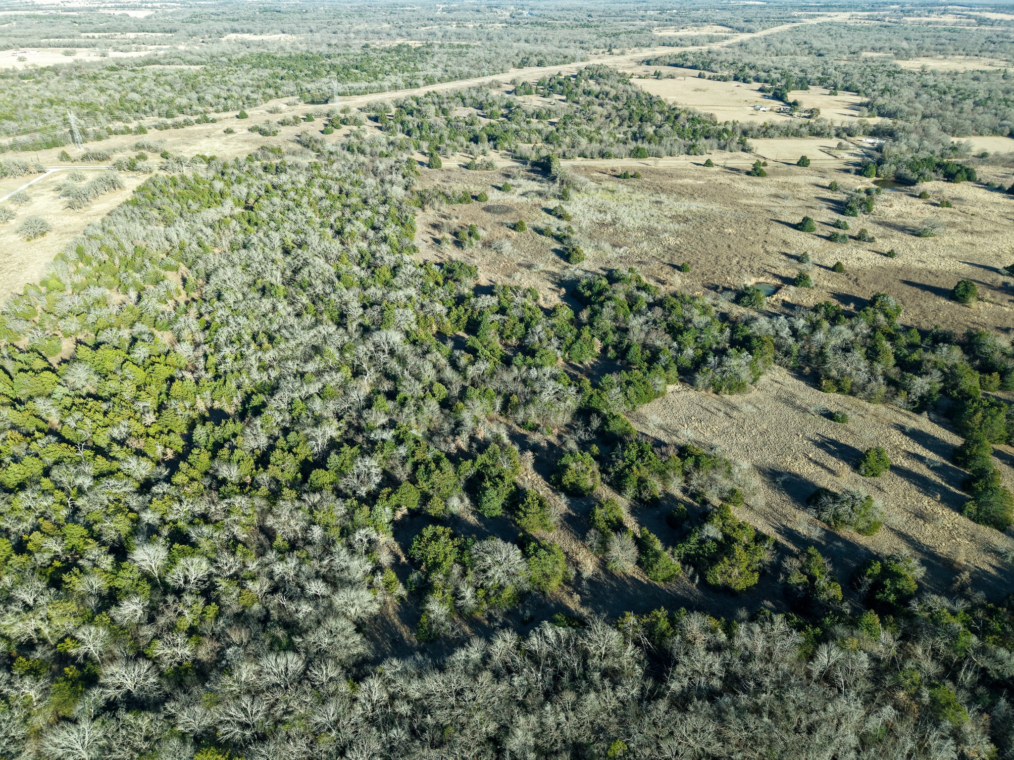 Tbd Fm 1366 Wortham TX 76693