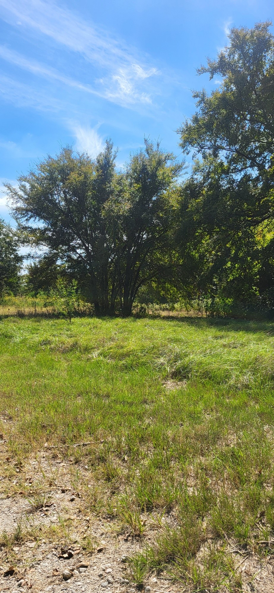 28901 County Road 2100 Kemp TX 75143