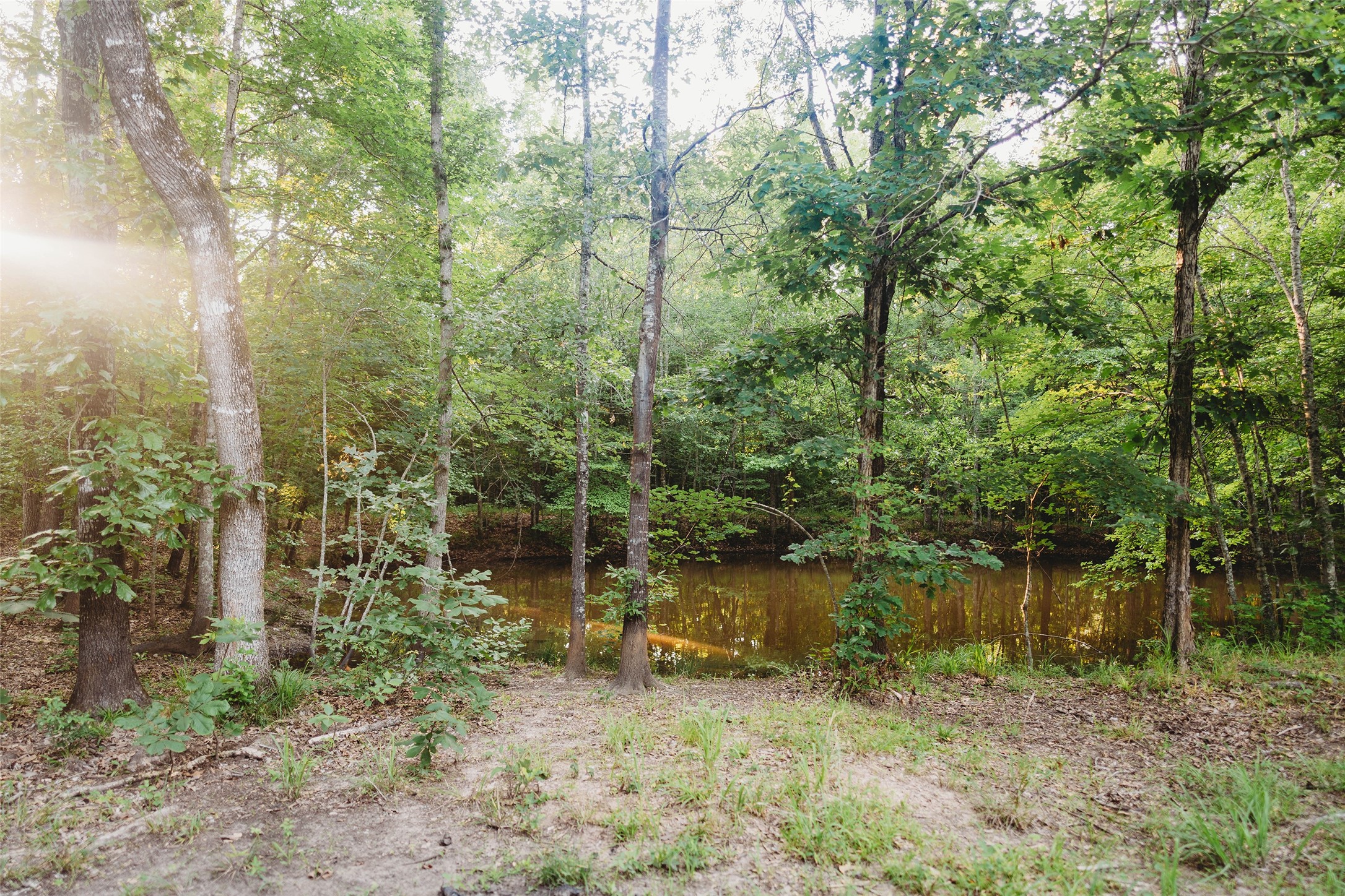 4861 Cr 4610 Bogata TX 75417