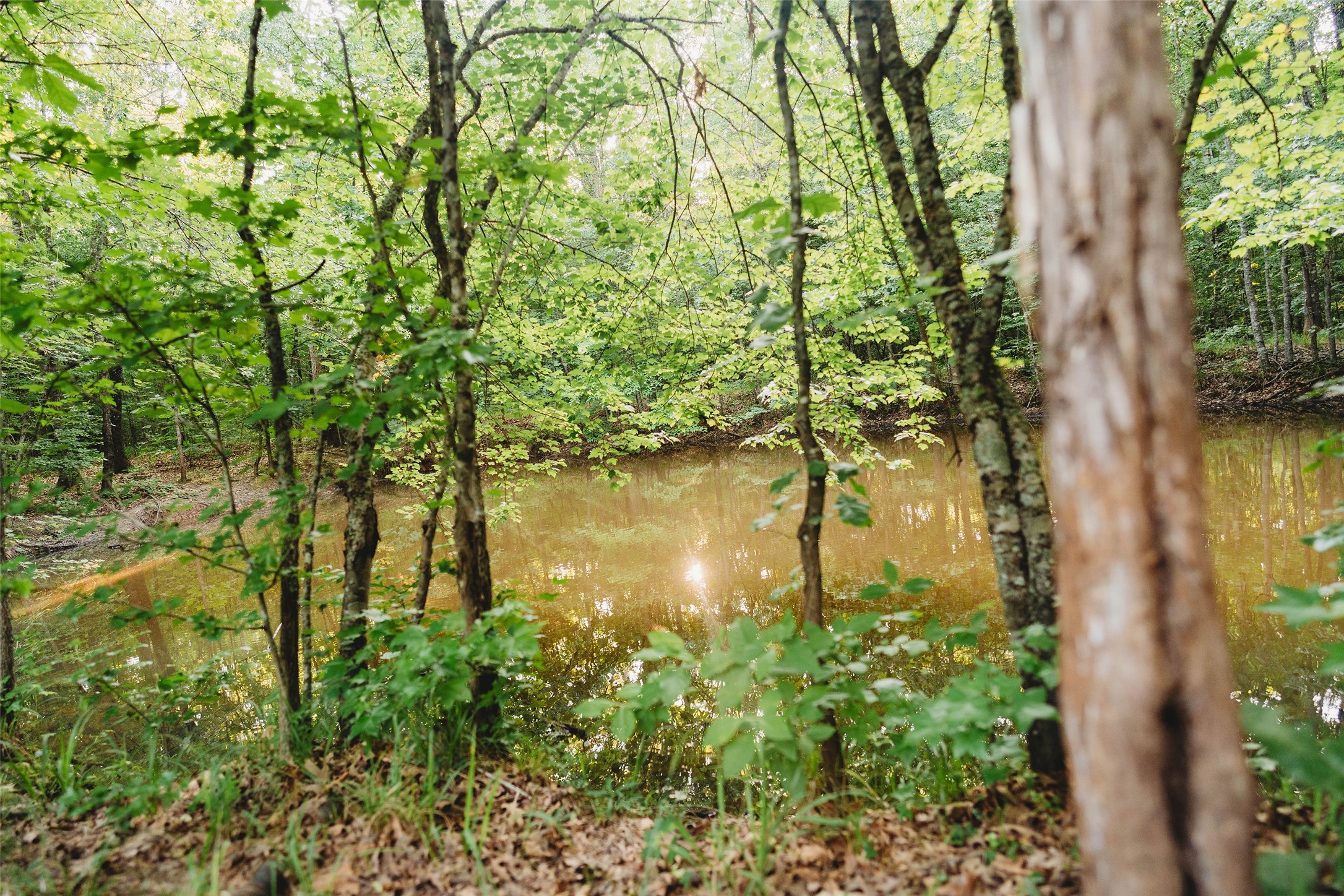 4861 Cr 4610 Bogata TX 75417