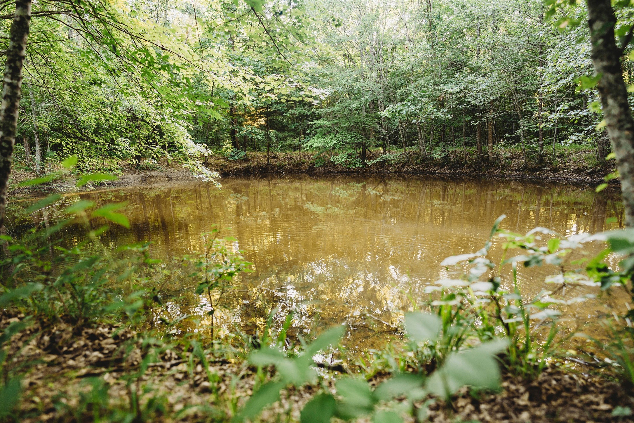 4861 Cr 4610 Bogata TX 75417