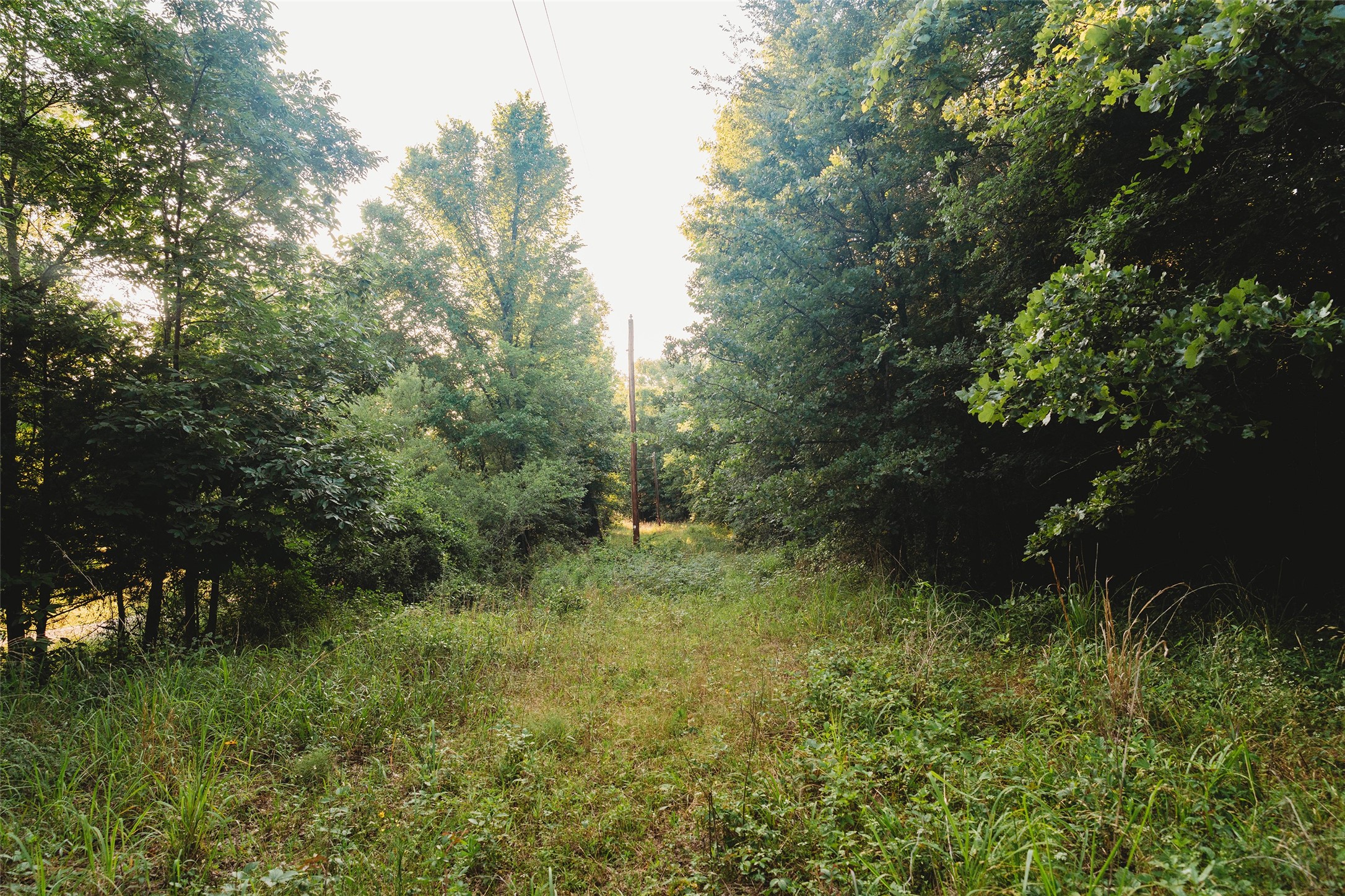 4861 Cr 4610 Bogata TX 75417