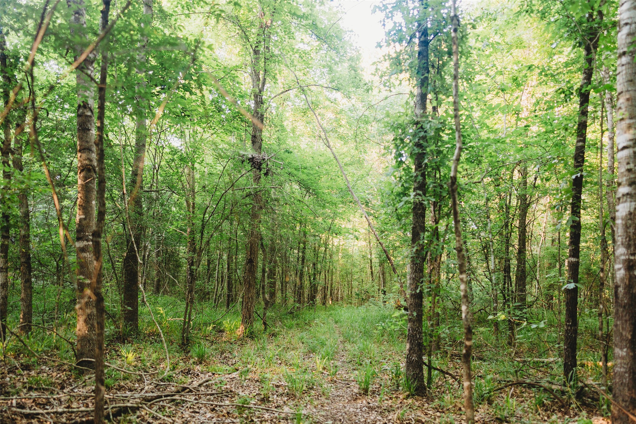 4861 Cr 4610 Bogata TX 75417