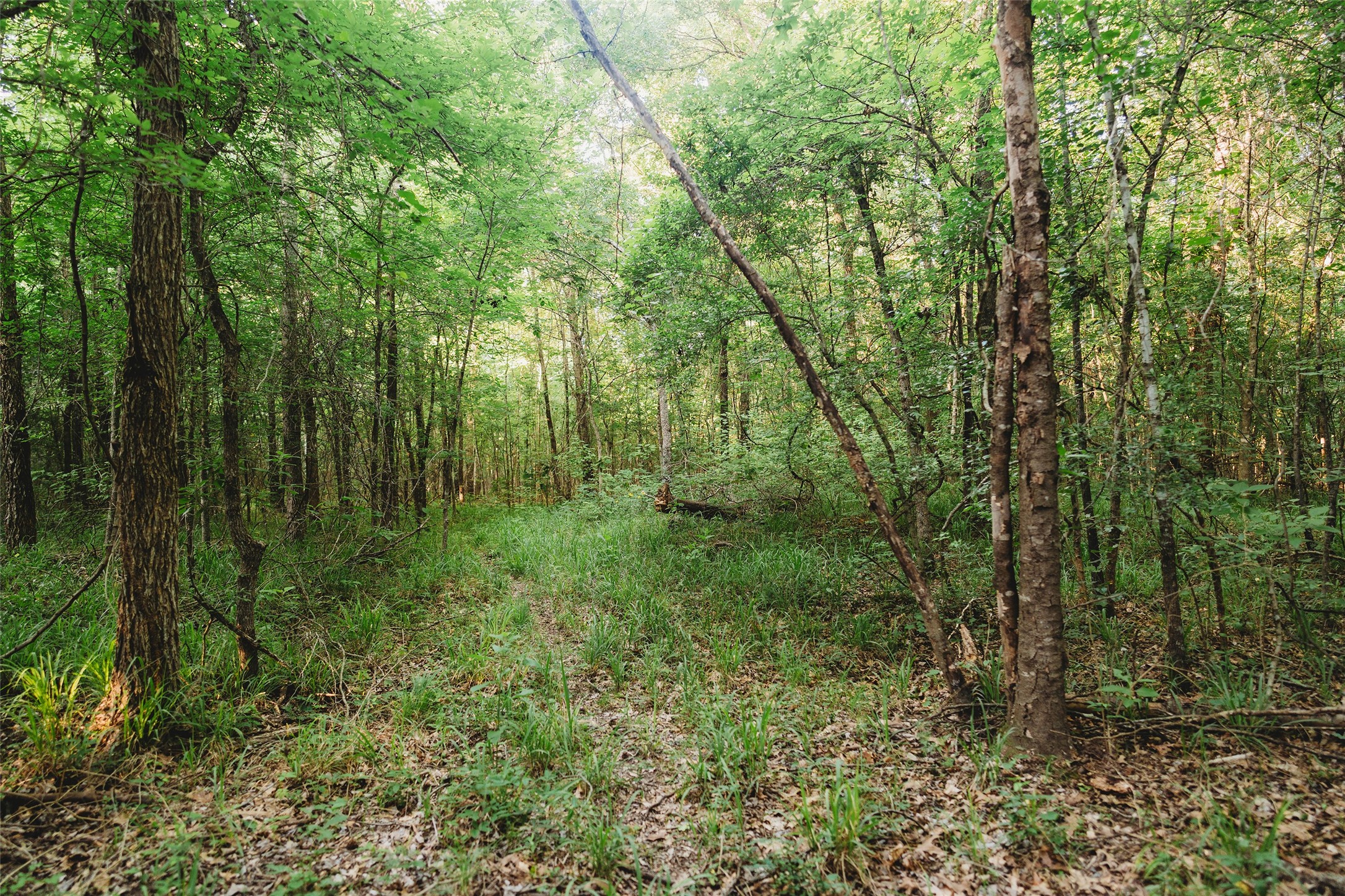 4861 Cr 4610 Bogata TX 75417