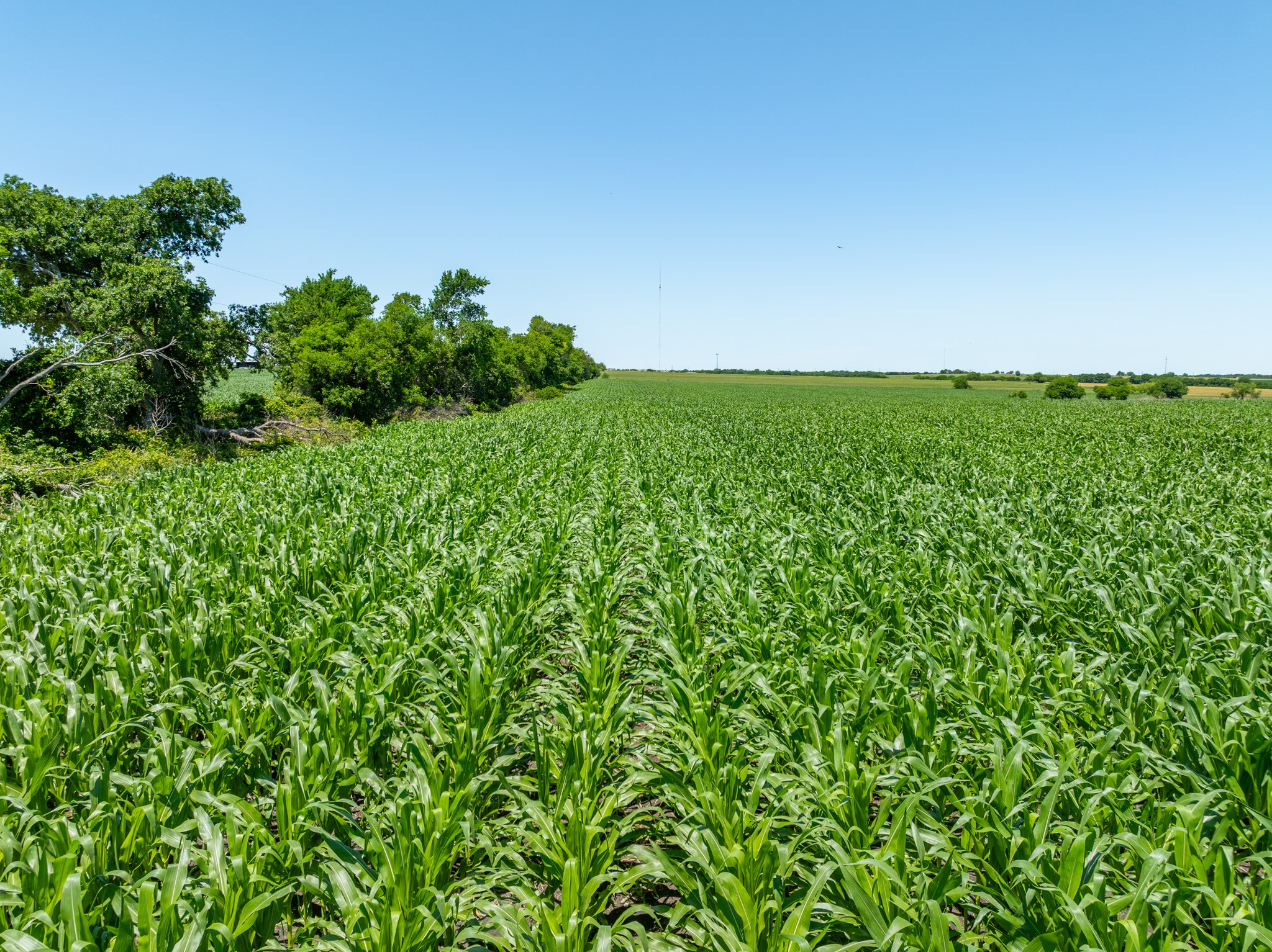Tbd Cr 451 Eddy TX 76524