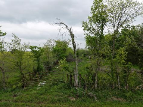 Tbd SW County Road 2190 Wortham TX 76693