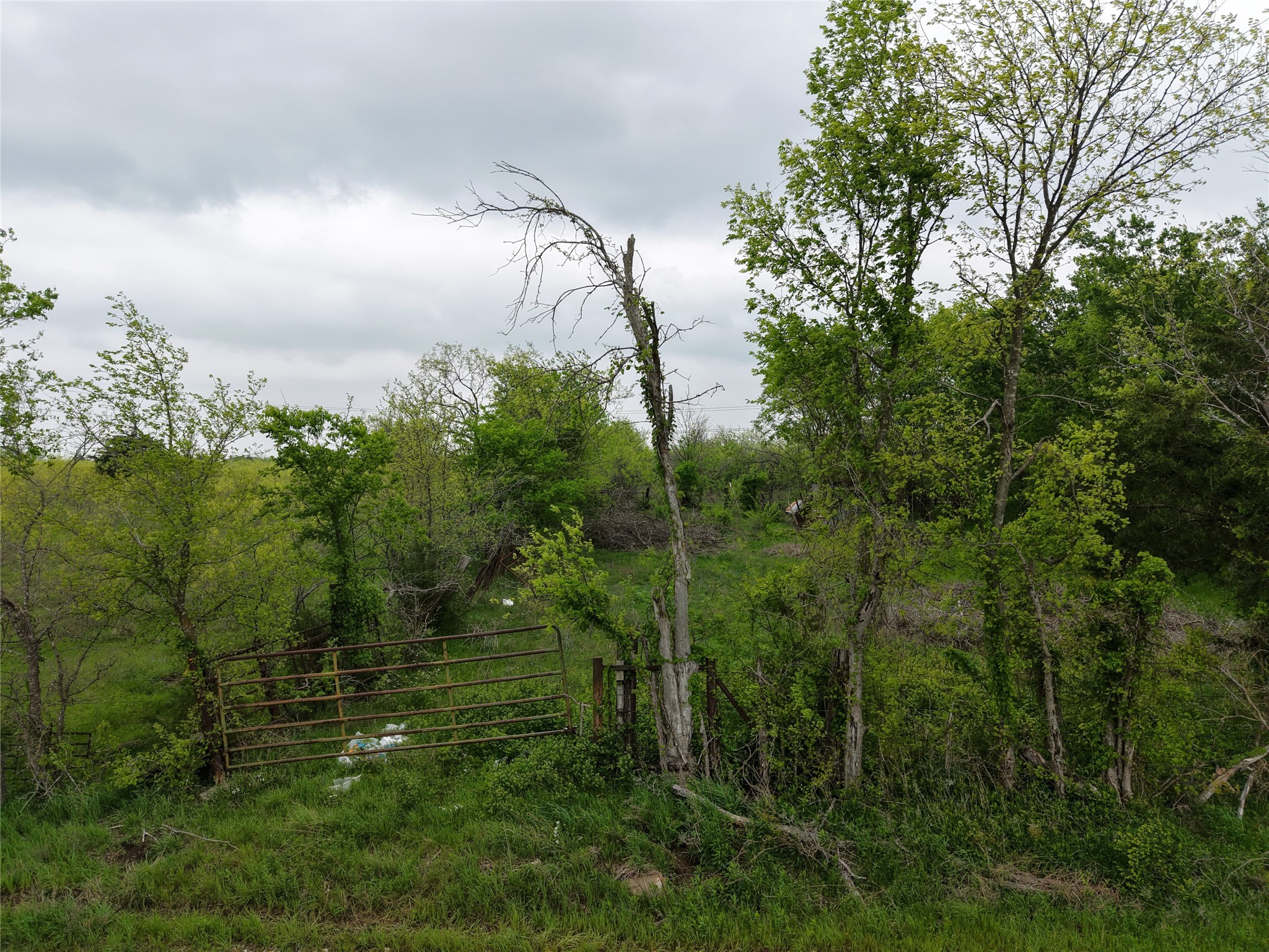 Tbd SW County Road 2190 Wortham TX 76693
