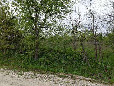 Tbd SW County Road 2190 Wortham TX 76693