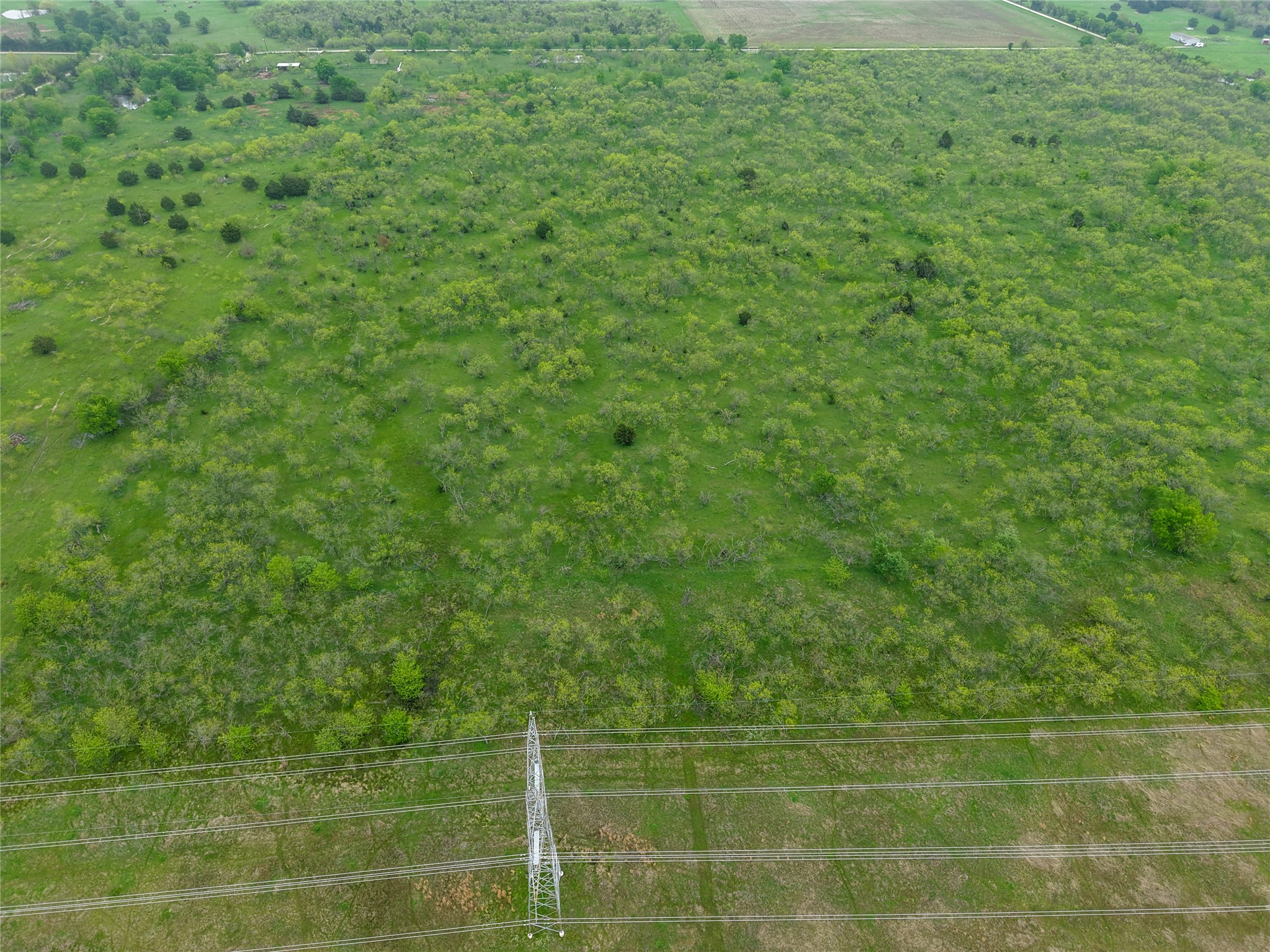 Tbd SW County Road 2190 Wortham TX 76693