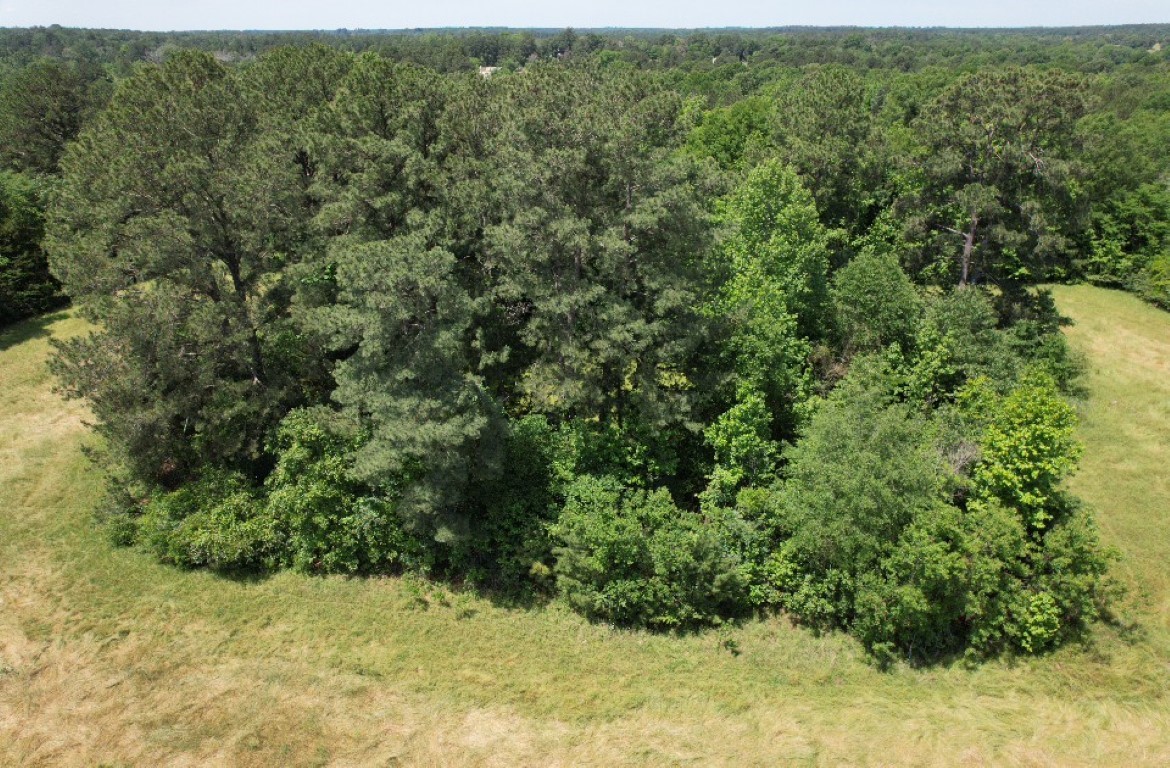 Tbd County Road 432 Tenaha TX 75974