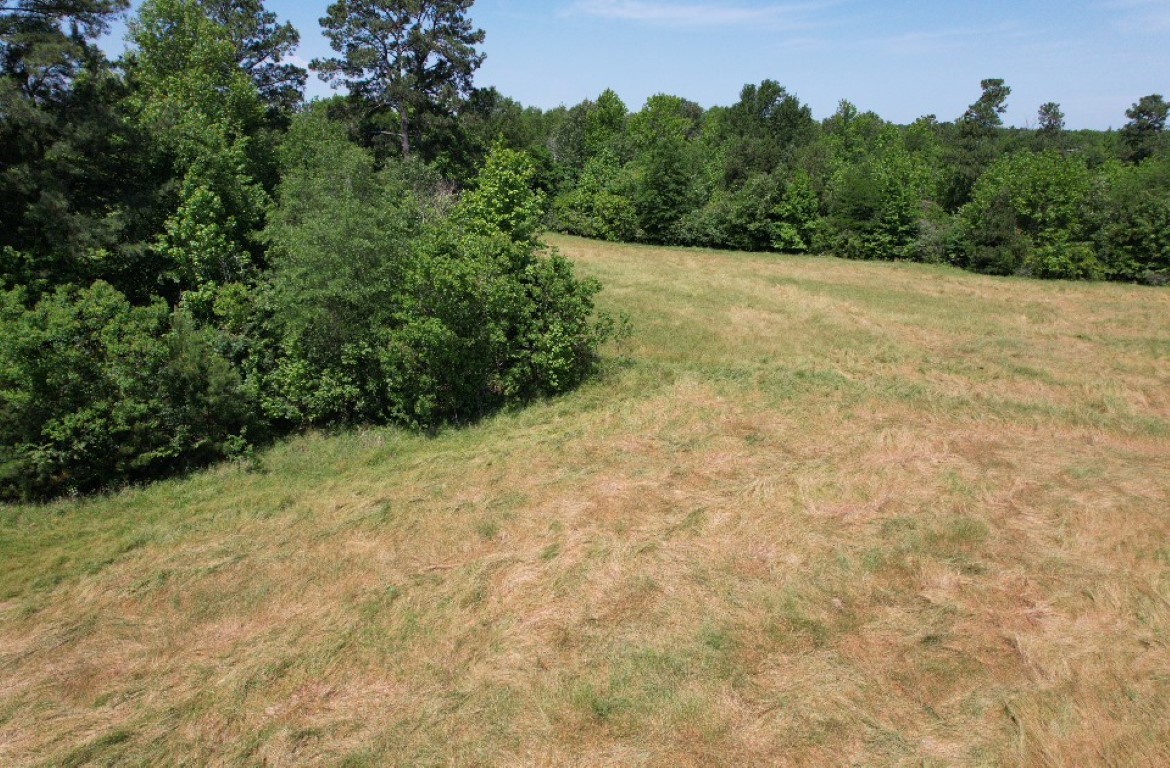 Tbd County Road 432 Tenaha TX 75974