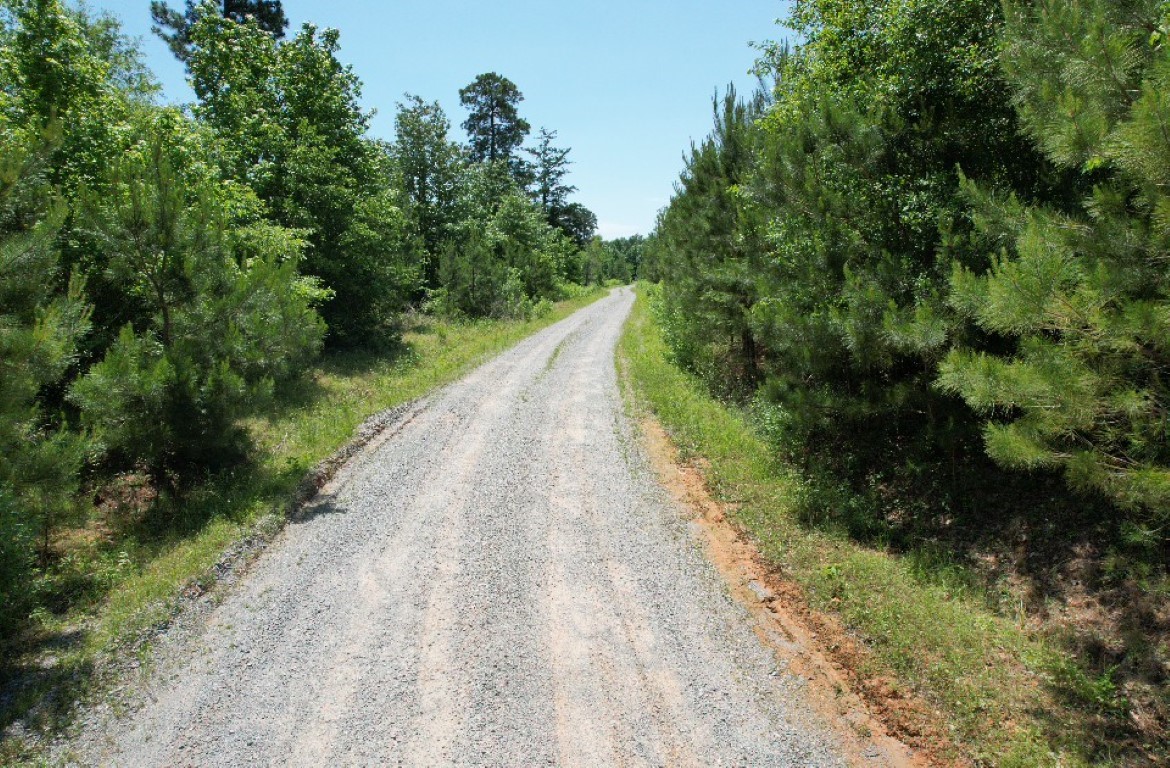 Tbd County Road 432 Tenaha TX 75974