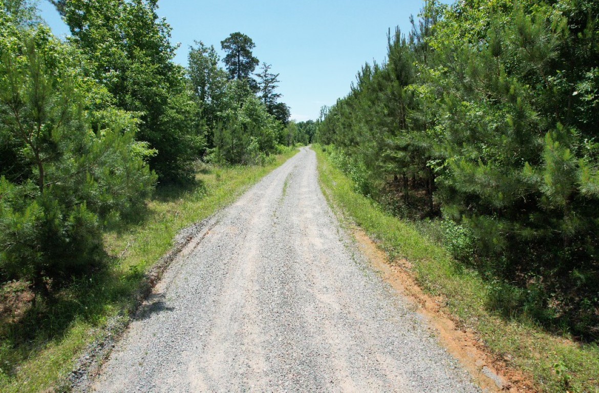 Tbd County Road 432 Tenaha TX 75974