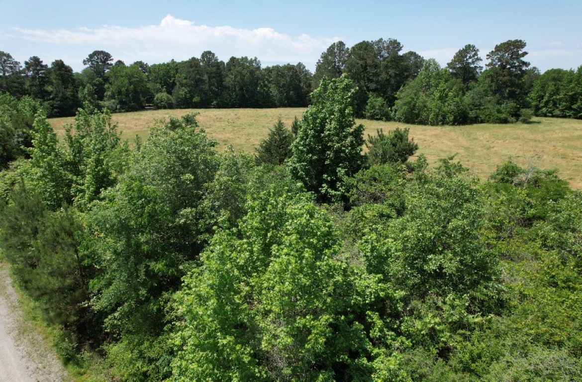 Tbd County Road 432 Tenaha TX 75974
