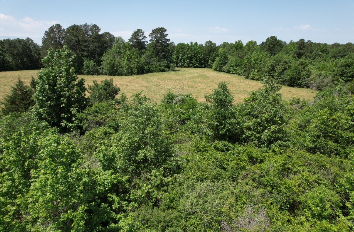 Tbd County Road 432 Tenaha TX 75974
