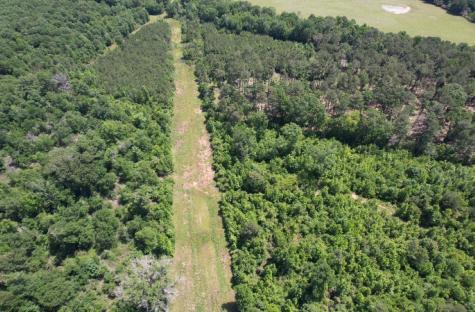 Tbd County Road 432 Tenaha TX 75974