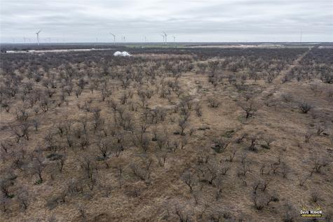 10737 I-20 W Clyde TX 79510