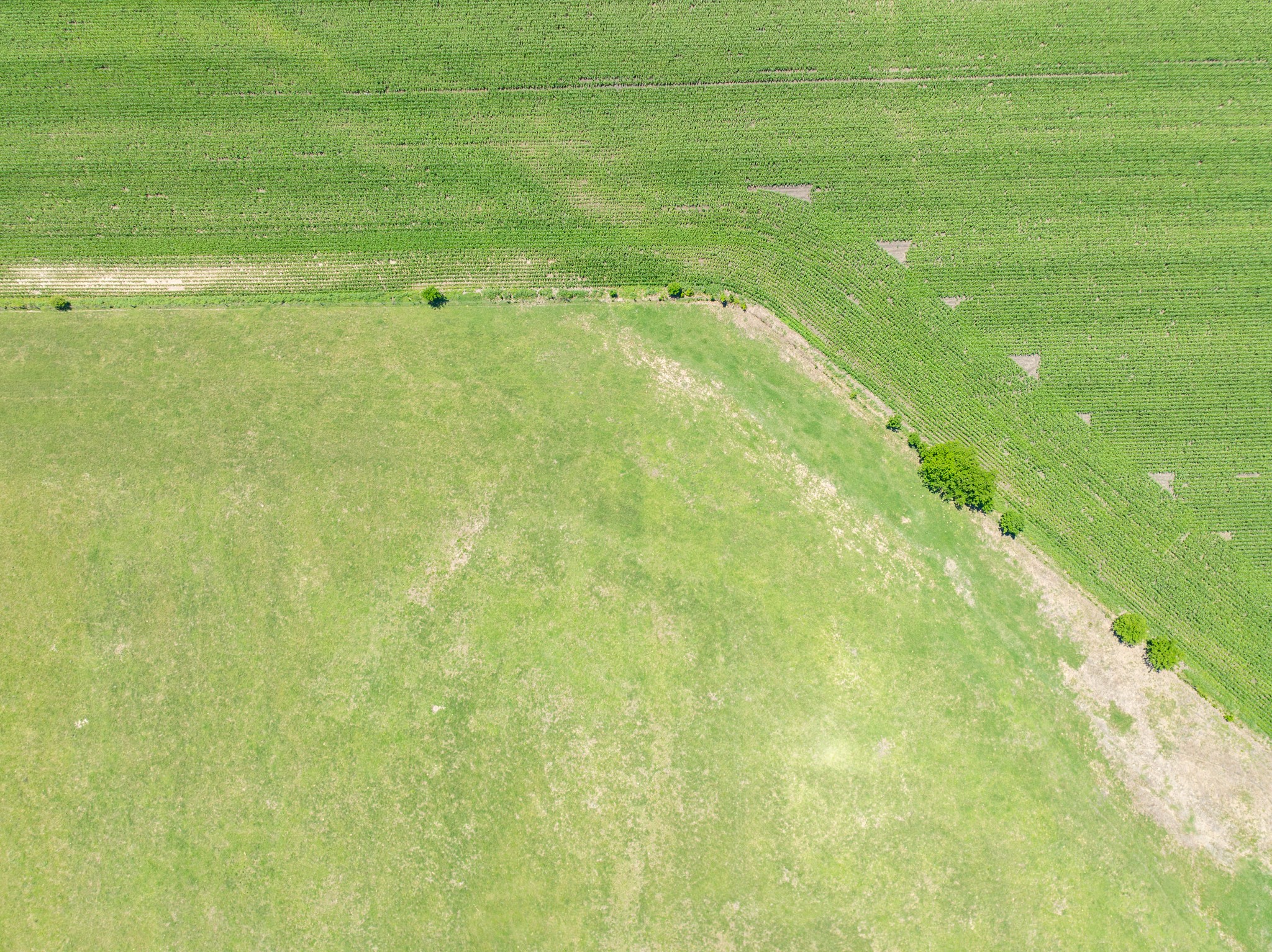 Tbd Cr 451 Bruceville Eddy TX 76524