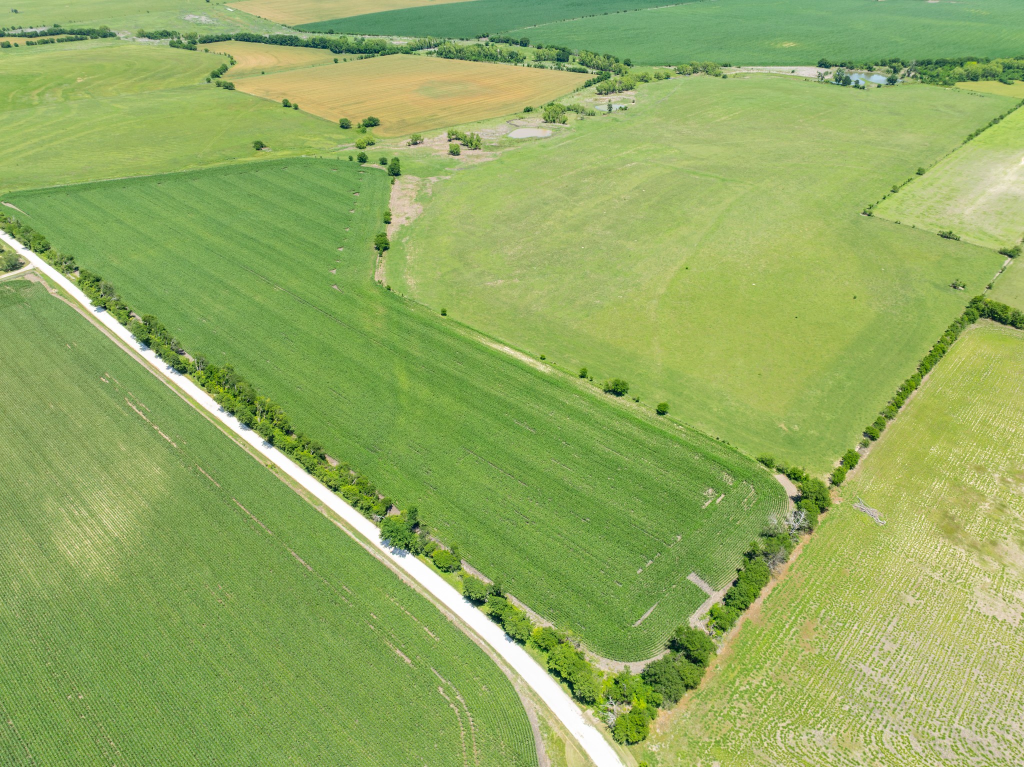 Tbd Cr 451 Bruceville Eddy TX 76524