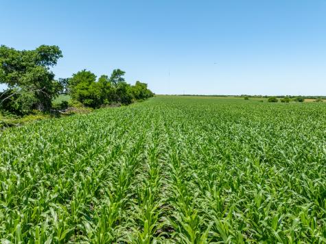 Tbd Cr 451 Bruceville Eddy TX 76524