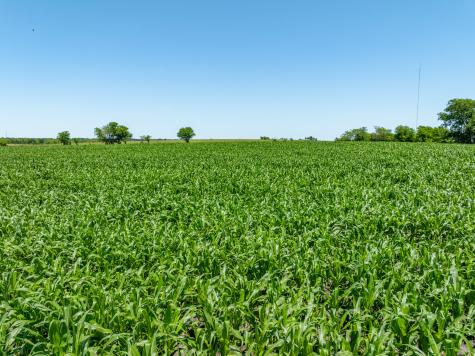 Tbd Cr 451 Bruceville Eddy TX 76524