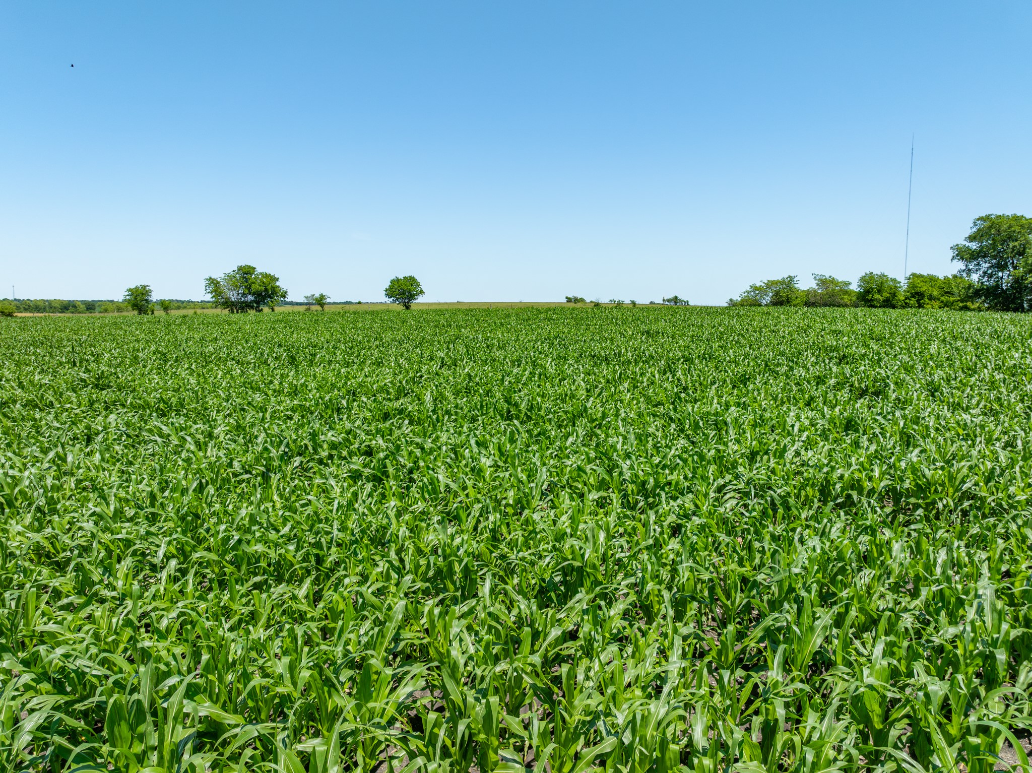 Tbd Cr 451 Bruceville Eddy TX 76524