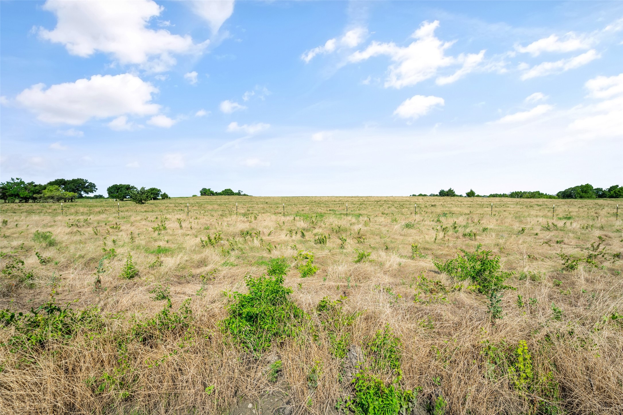 0000 County Road 632 Blue Ridge TX 75424