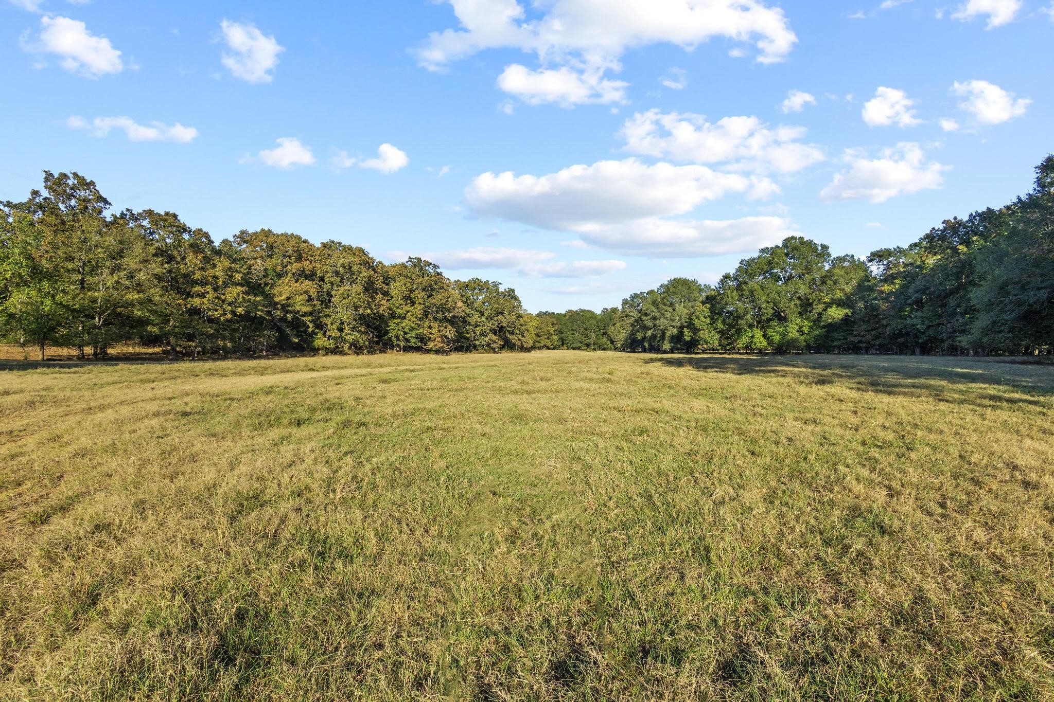 312 County Road 2100 Detroit TX 75436