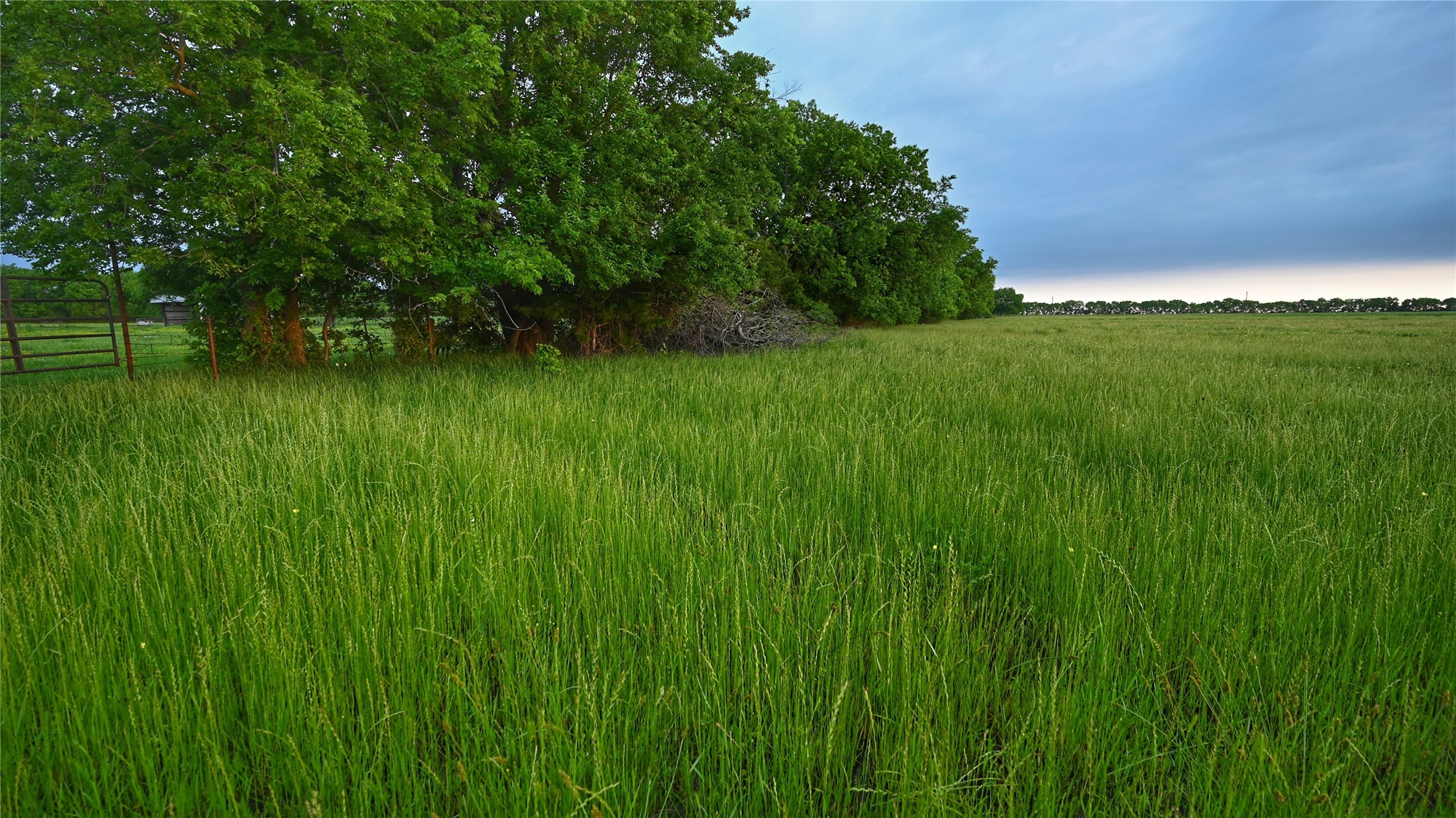 Tbd Fm 1752 Road Whitewright TX 75491