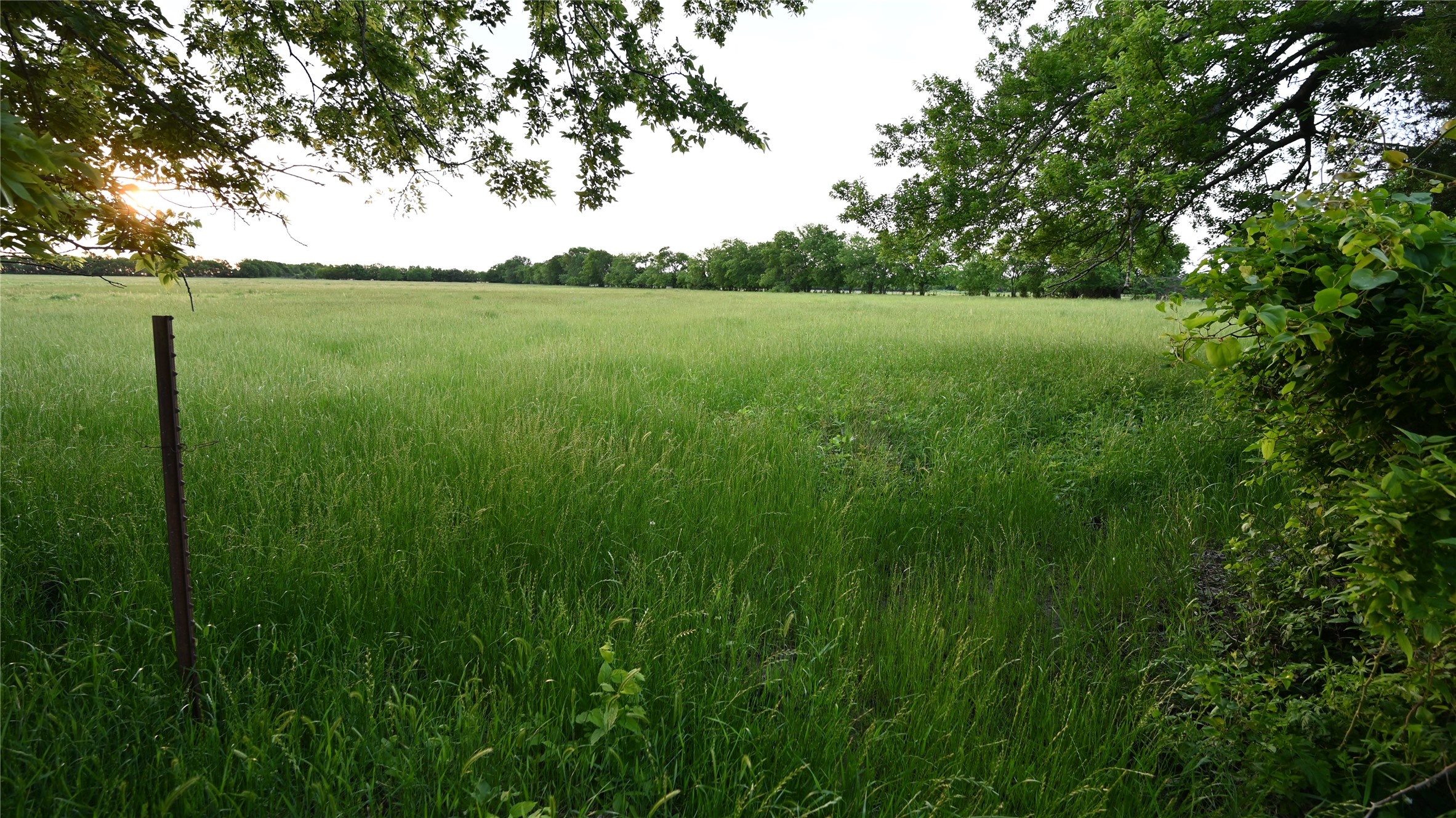 Tbd Fm 1752 Road Whitewright TX 75491