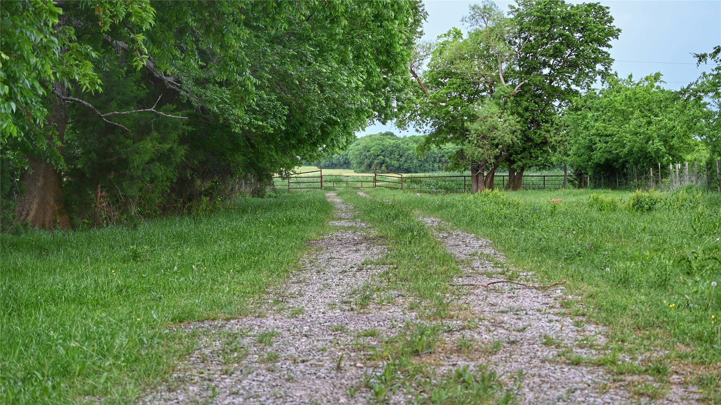 Tbd Fm 1752 Road Whitewright TX 75491