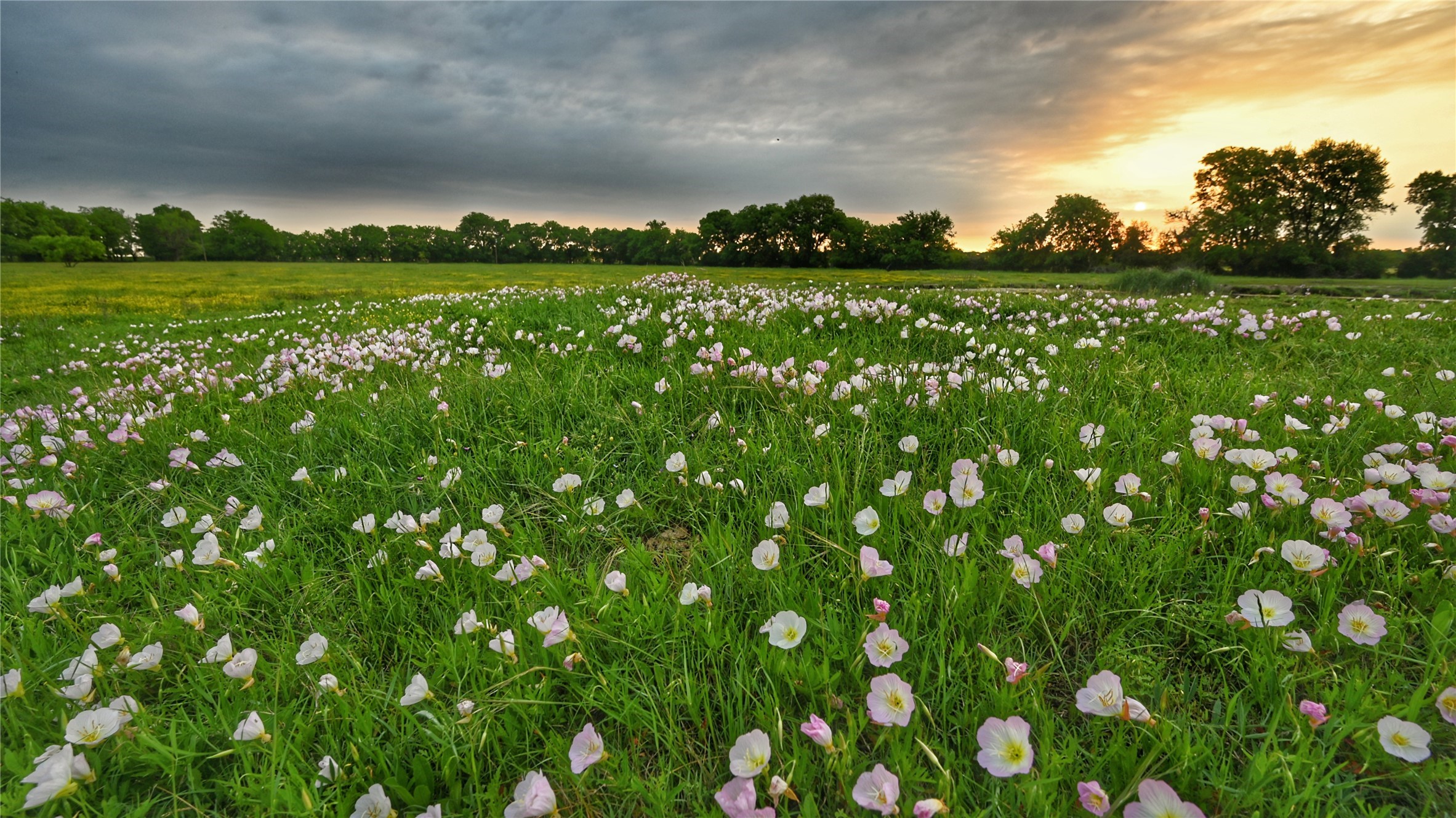 Tbd Fm 1752 Road Whitewright TX 75491