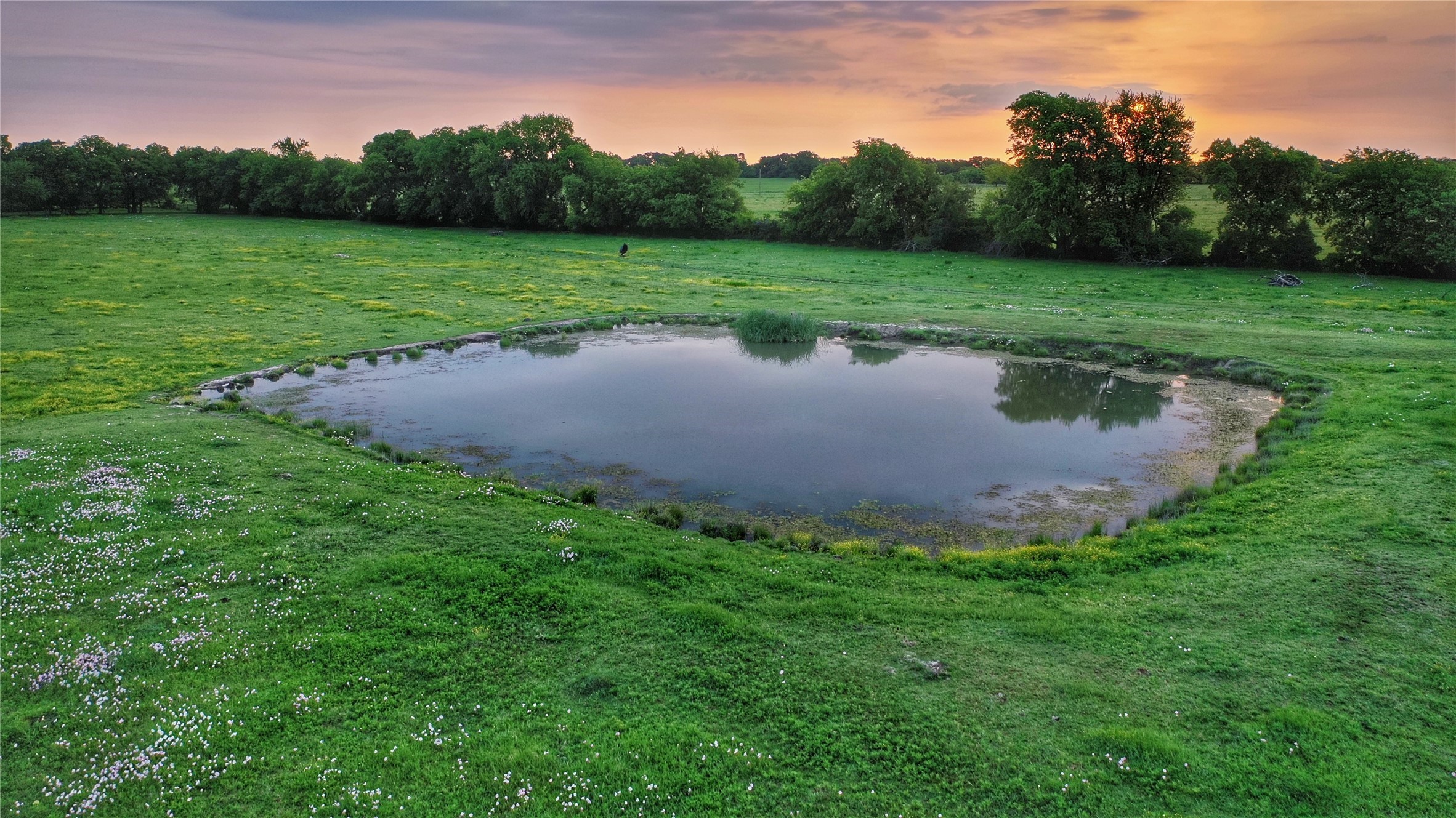 Tbd Fm 1752 Road Whitewright TX 75491