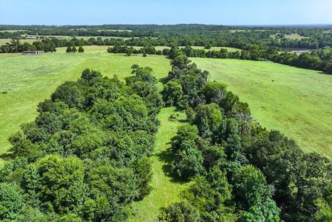 00 County Road 4501 Jacksonville TX 75766