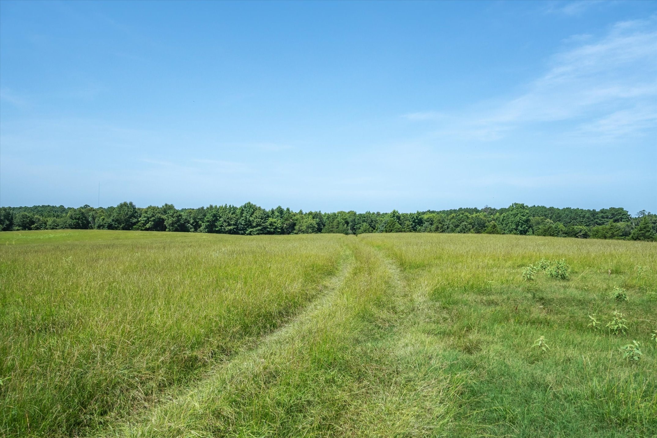 00 County Road 4501 Jacksonville TX 75766